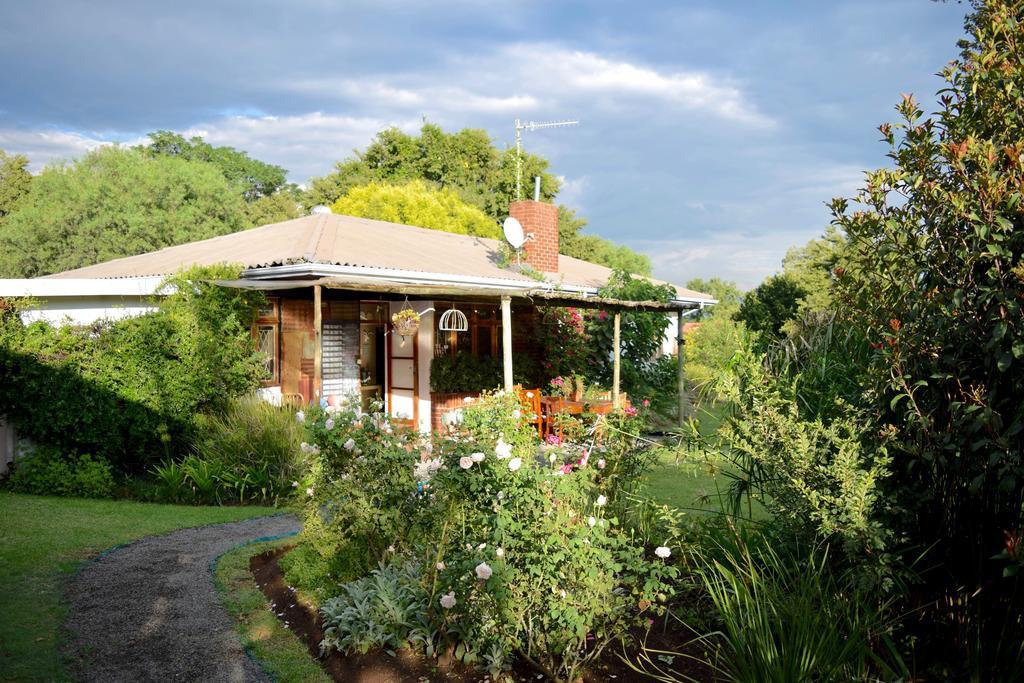 Patterson B&B Newcastle Eksteriør billede